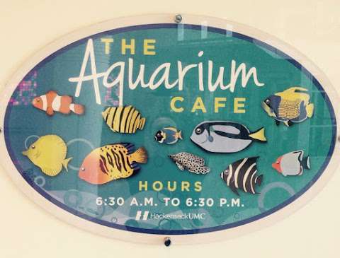 Aquarium Cafe Aquarium Cafe